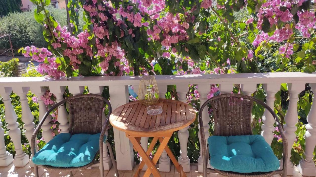 Toto Apartments Zadar Bagian luar foto